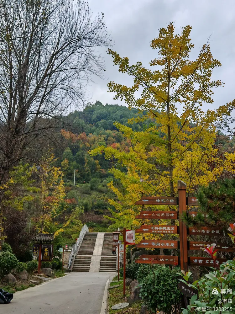 金秋陇南康县花桥村探访